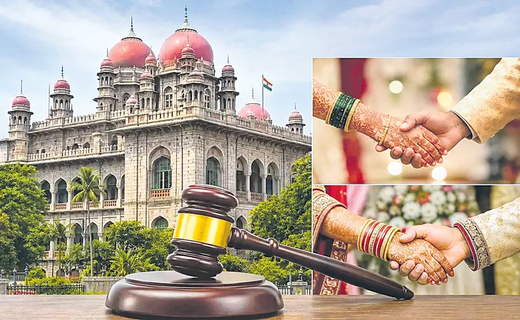 Telangana High Court Comments On Politicians