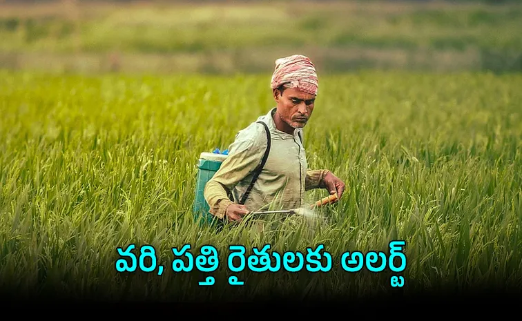 India Bans Carbosulfan Chemical Threatening Farmers Agriculture