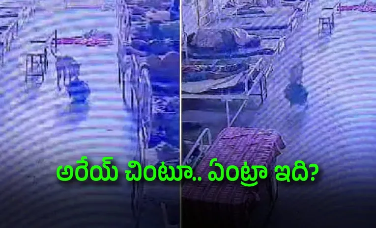 She Took Jewellery to Hospital for Safety A Stray Dog Had Other Plans