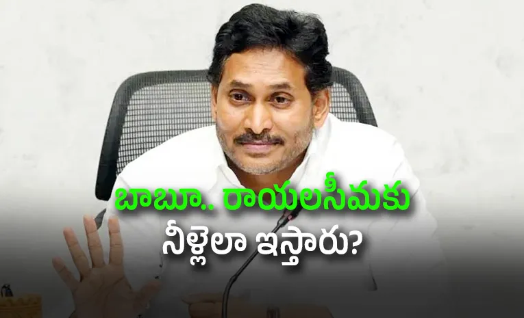 YS Jagan Slams Chandrababu Over Drought, Says Govt Ignoring Farmers