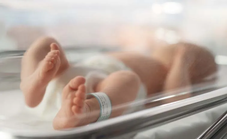 60 newborn deaths in west bengal1