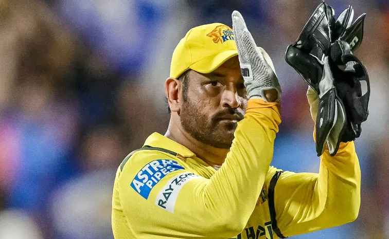 IS MS Dhoni Wanted 25 Per Cent Stake CSK Blunt Verdict On Report1
