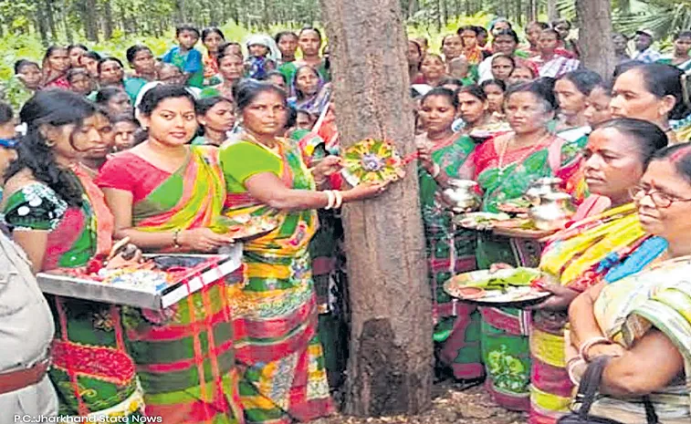 Jharkhand villagers to tie rakhis to 1 lakh trees on Raksha Bandhan