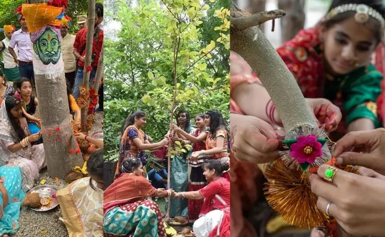 Raksha Bandhan 2026: 101 girls In Makhand village tie rakhis to trees 1