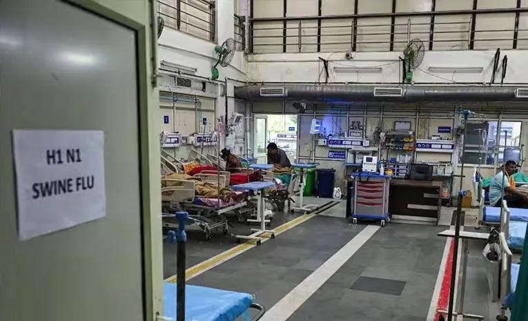 Seasons First Swine Flu Death in UP 50 Year Old Woman Succumbs in Lucknow3