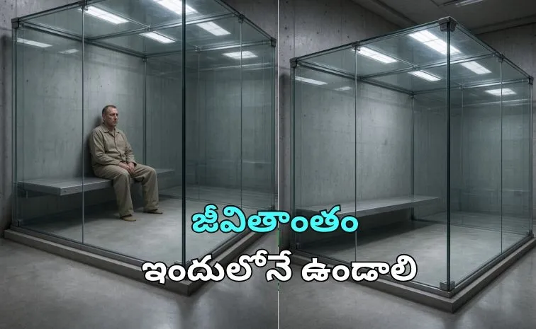 గాజు పంజరంలో 43 ఏళ్లుగా బందీ.. భయానక ఒంటరి జీవితం