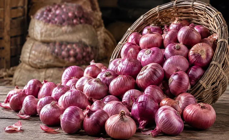Government starts retail sale of onions at Rs 35 per kg