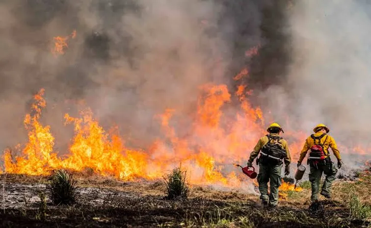 Washington wildfires destroy homes, prompt evacuations