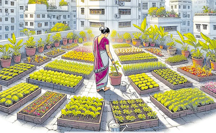 ‘మిద్దె’కు మద్దతిస్తే..‘అర్బన్‌’కు ఆరోగ్యమే!