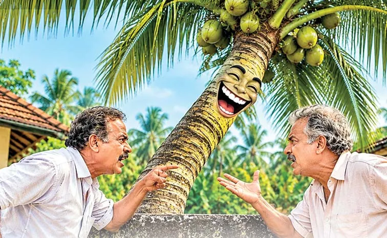 కొబ్బరిచెట్టు కోసం కేసు.. ‘టీ తాగుతూ మాట్లాడుకోండి’ అన్న కోర్టు!