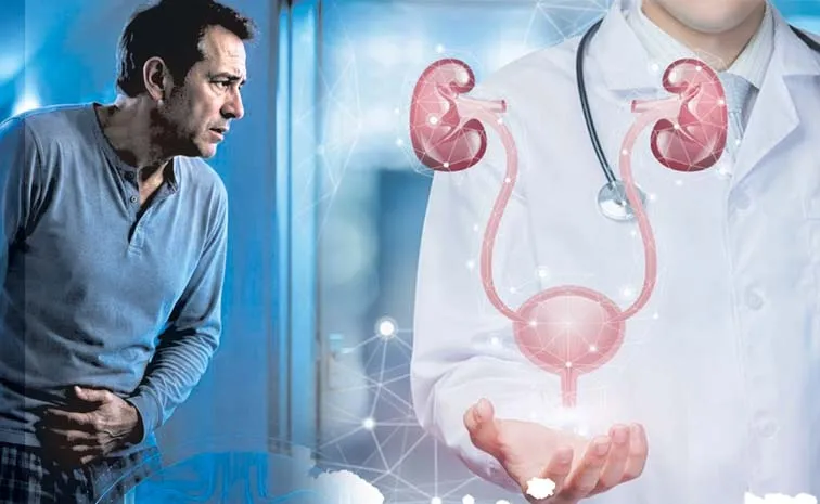 Genitourinary Tuberculosis Symptoms Causes Treatment