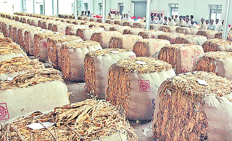 Tobacco Farmers Fires on Chandrababu Govt Conspiracy