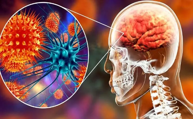 Gujarat Chandipura Virus Outbreak 22 Children Died