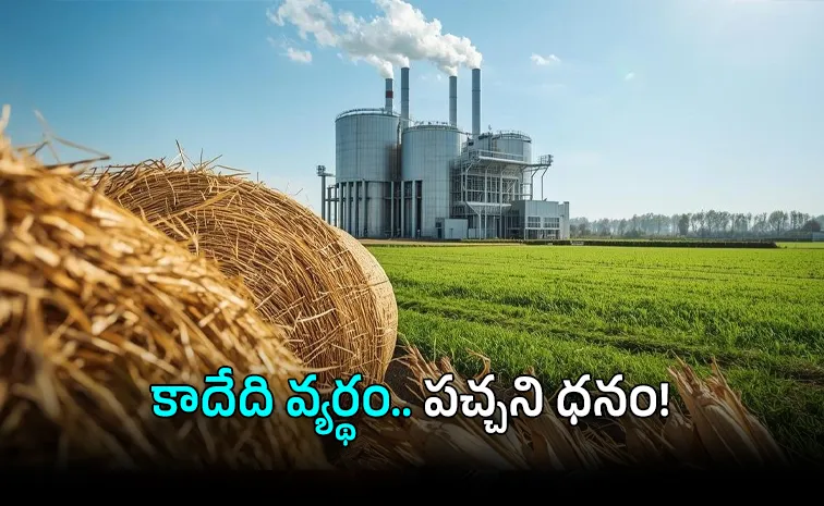 From Waste to Green Gold: How Crop Residue Becoming India Next Bio Energy Commodity