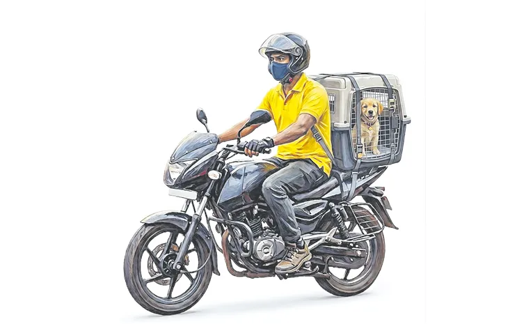 Hyderabad Bike Riders Receive Bizarre Requests Every Day