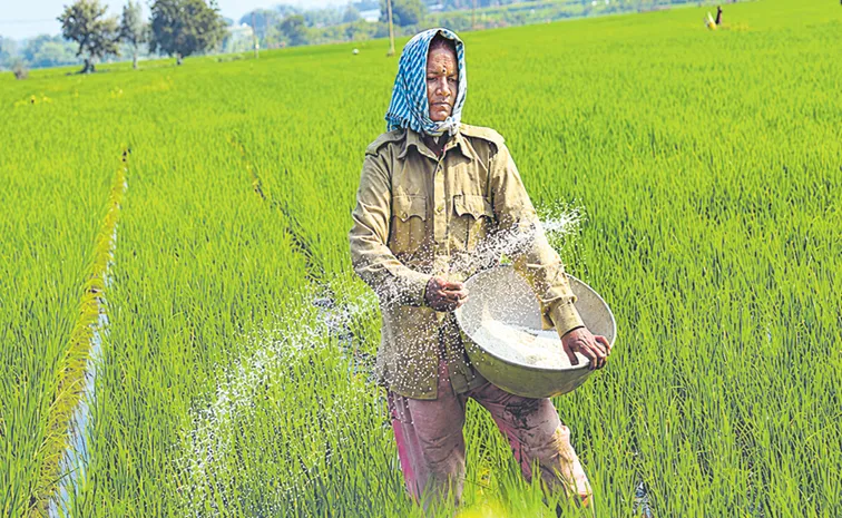 Yields increased despite reduced fertilizer in Telangana