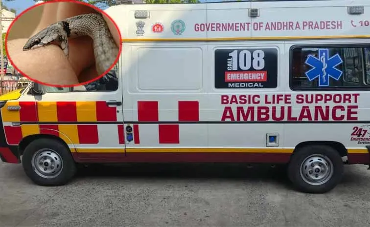 Injections for snake bites in 108 vehicles