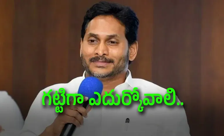 Expose Alliance Govts Failures ys Jagan Tells Party Workers