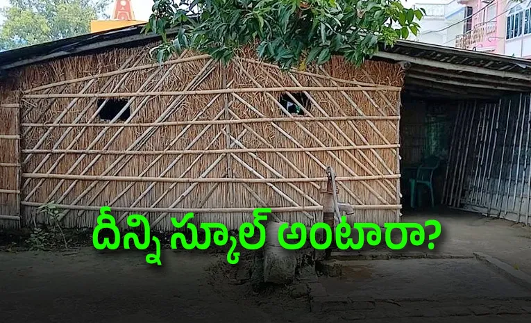 పాముల మధ్య బిక్కుబిక్కుమంటూ చిన్నారుల చదువు!