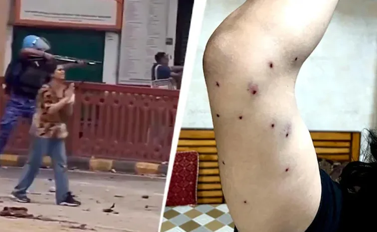 Pellet gun use no human rights violation, CRPF in RTI reply to TMC leader