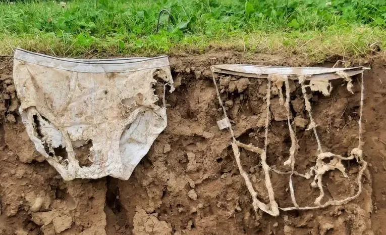 2000 Pairs of Underwear Buried in Switzerland Reveal Startling Facts About Soil Health5