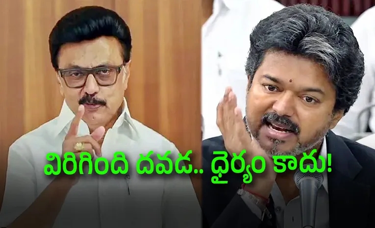 తమ్ముడు విజయ్‌.. నువ్వు చెప్పింది కరెక్టే: స్టాలిన్‌