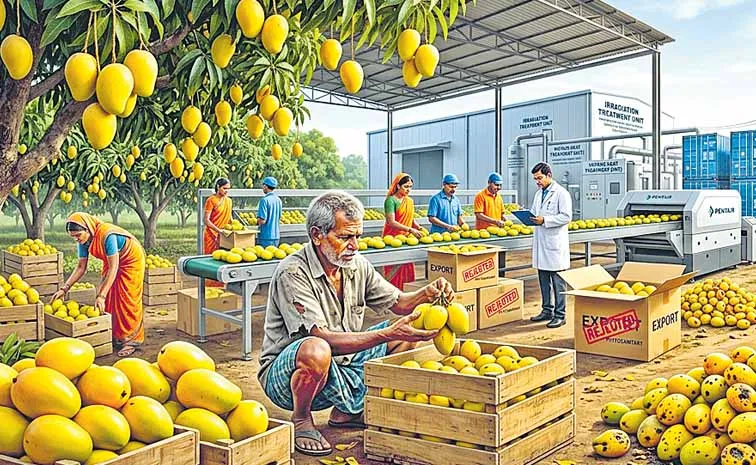 మామిడి పండు చూడ మేలిమై యుండును.. పొట్ట విప్పి చూడ..  