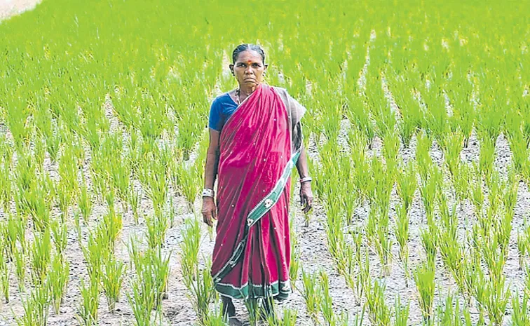 12 గంటలు ఉత్త 'కోతలే'