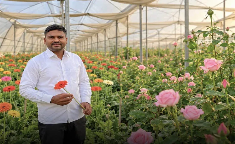 గులాబీలు పండిస్తూ..నెలకు రూ. 2.5 లక్షలు..!