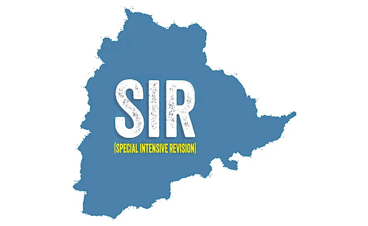  77% నోటీసుల పంపిణీ