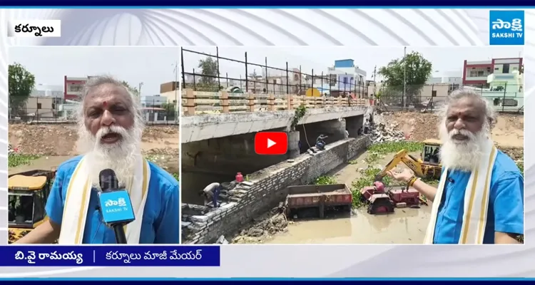 కర్నూలులో గణేష్ నిమజ్జనానికి దయనీయం