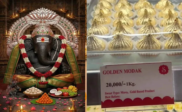  Golden Modak Worth Rs 27000 Per Kg Steals Spotlight At Nashik Sweet Shop