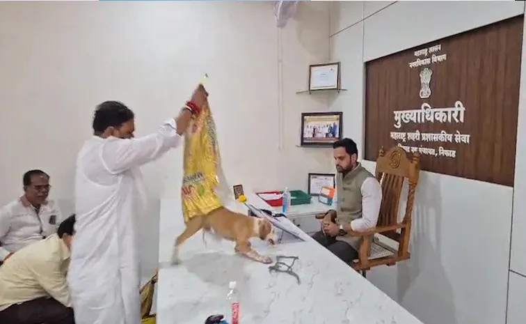 Frustrated by dog menace, Yuva Sena workers release strays on Nashik official table