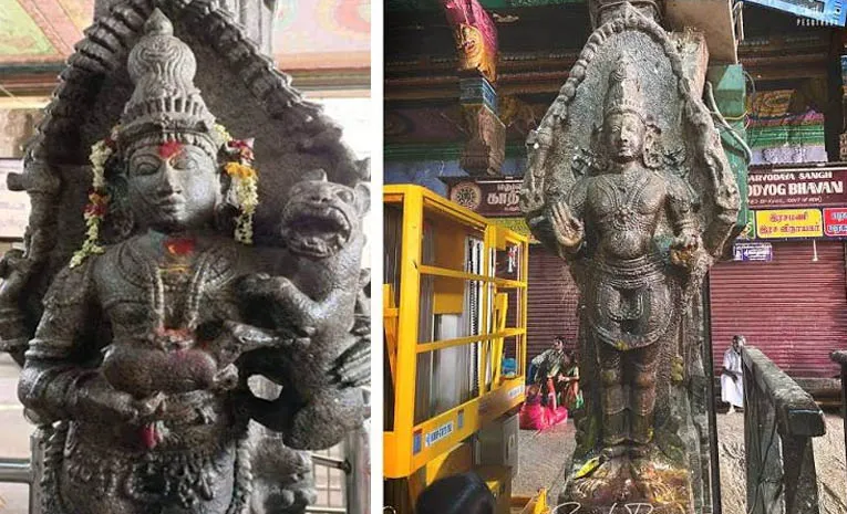 జింకపిల్లకు పులిపాలు!