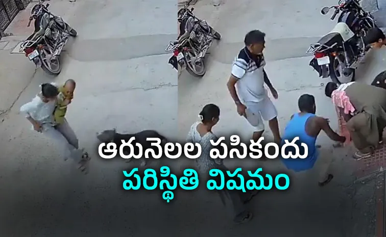‘పిట్‌బుల్‌’ బీభత్సం.. సీసీటీవీలో భయానక దృశ్యాలు