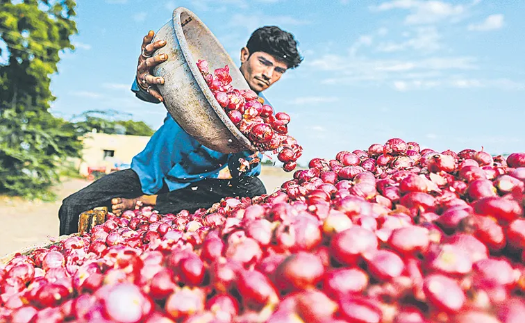Onion Prices in Telangana are increased due to a drop in supply