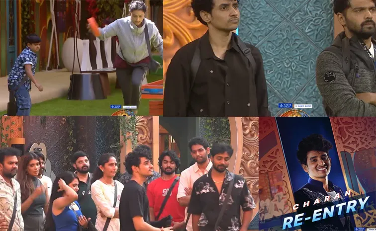 biggboss10 telugu day 12 episode highlights