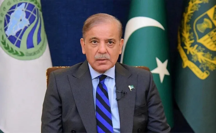 Pakistan Still Sheltering Terrorists India Tells UN