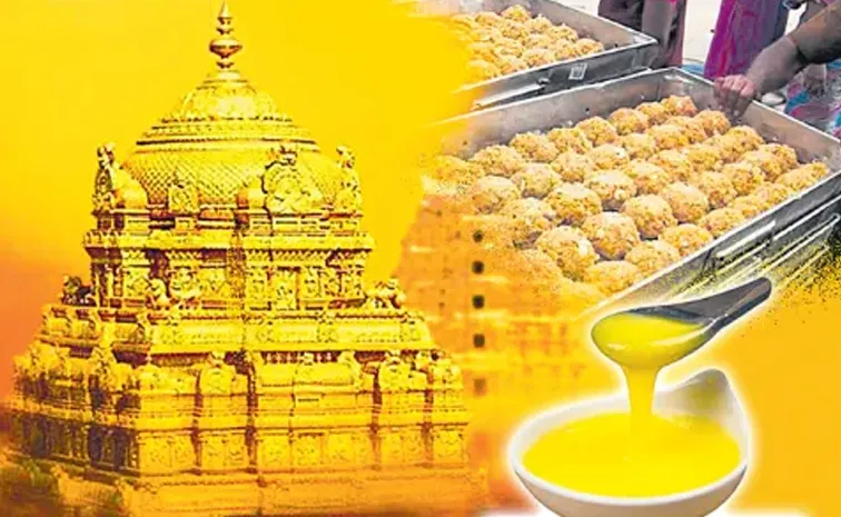 తిరుమల ప్రసాదంలో జంతువుల కొవ్వు కలవలేదు: ఈడీ