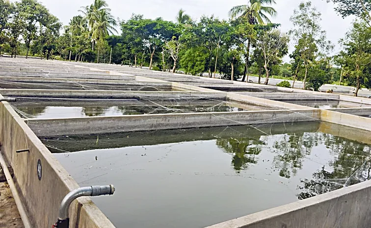 Annual expenditure of Rs 90 crore for purchasing fishlings: Telangana