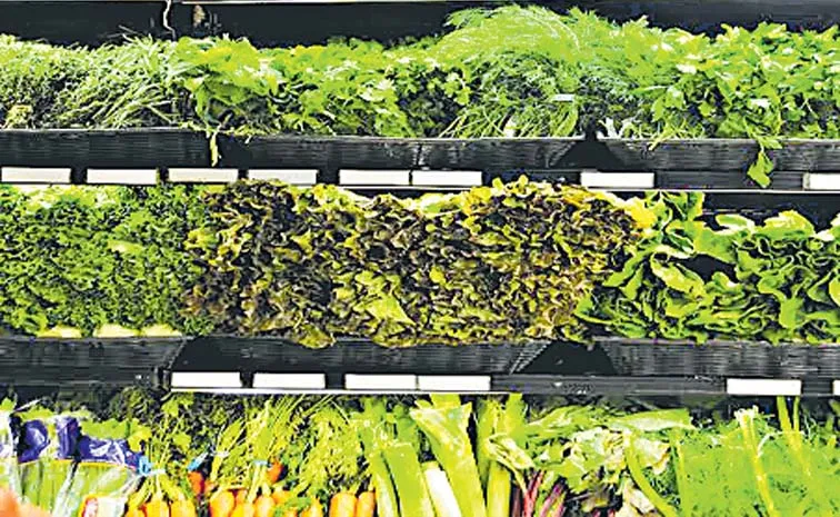Why Supermarkets Spray Water On Vegetables ?