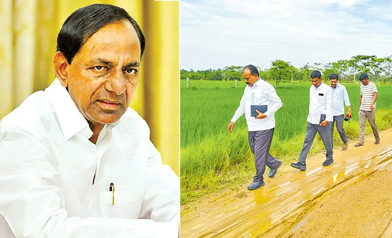 కేసీఆర్‌ ఫామ్‌హౌస్‌.. 388ఎకరాలపైనే ప్రధాన దృష్టి