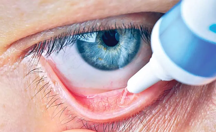 Health Special Story On Eye Drops Restore Vision Blindness Treatment