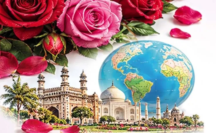 Rose History Interesting Facts And Statistics