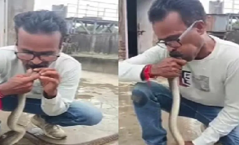 అందరూ వారిస్తున్నా.. పాము నోట్లో నోరు పెట్టి..
