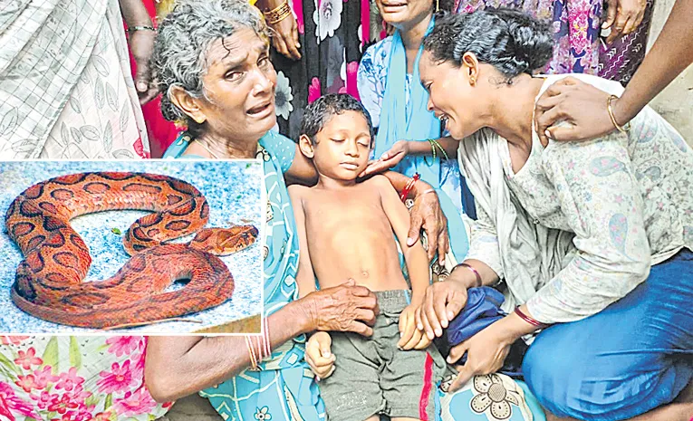 Snake Bite To Six Year Boy 