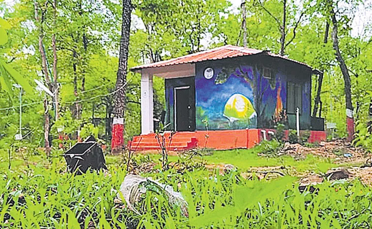 Tadvai Forest Huts: night stay packages full details