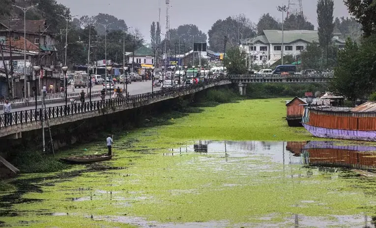 Dal Lake in Crisis Sewage Threatens Kashmirs Iconic Landmark