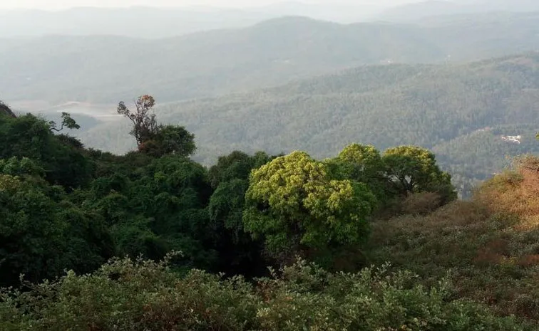 Why Malenadu, Karavali People Oppose Kasturirangan Report on on Western Ghats
