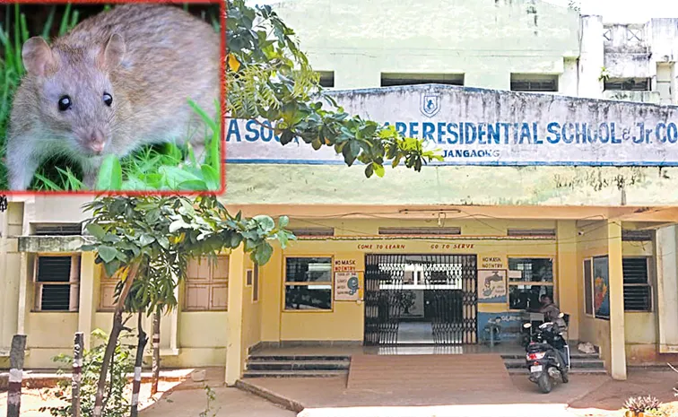 Rats bite 14 students in Palakurthi Girls Gurukul School  